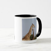 Zwei Giraffe, Kruger Nationalpark, Südafrika Tasse (VorderseiteRechts)