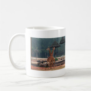 Zwei Giraffen, die sich in einem Zoo trösten Kaffeetasse