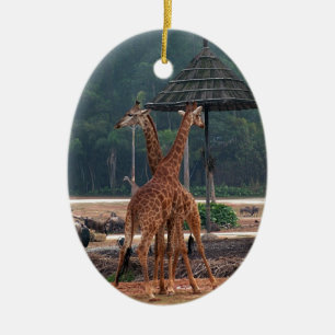 Zwei Giraffen, die sich in einem Zoo trösten Keramik Ornament