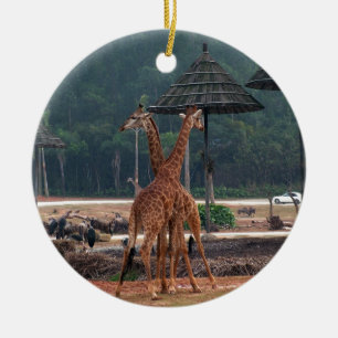 Zwei Giraffen, die sich in einem Zoo trösten Keramik Ornament