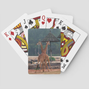 Zwei Giraffen, die sich in einem Zoo trösten Spielkarten
