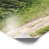 Zwei Giraffen Fotodruck (Ecke)