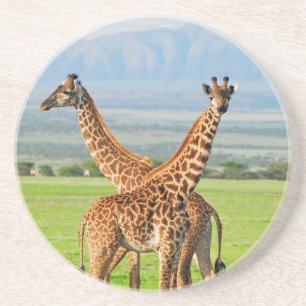 Zwei Giraffen Getränkeuntersetzer