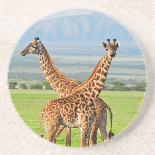 Zwei Giraffen Getränkeuntersetzer (Vorne)