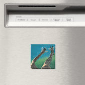 Zwei Giraffen (Giraffa camelopardalis) Magnet (In Situ (Geschirrspüler))