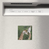 Zwei Giraffen (Giraffa camelopardalis), Magnet (In Situ (Geschirrspüler))
