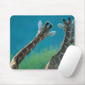 Zwei Giraffen (Giraffa camelopardalis) Mousepad (Mit Mouse)