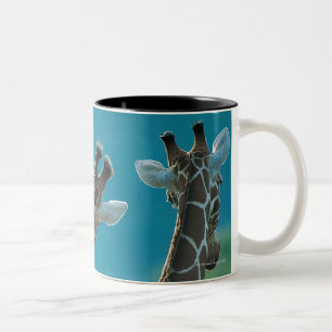 Zwei Giraffen (Giraffa camelopardalis) Zweifarbige Tasse