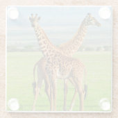 Zwei Giraffen Glasuntersetzer (Rückseite)