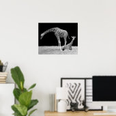 Zwei Giraffen in Schwarz und Weiß Poster (Heimbüro)