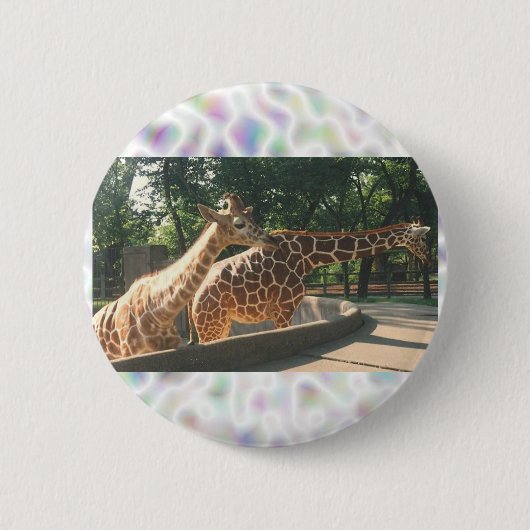 Zwei Giraffen-Knöpfe Button (Vorderseite)