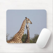Zwei Giraffen, Krüger-Nationalpark, Südafrika Mousepad (Mit Mouse)