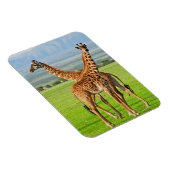 Zwei Giraffen Magnet (Rechte Seite)