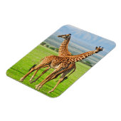 Zwei Giraffen Magnet (Linke Seite)