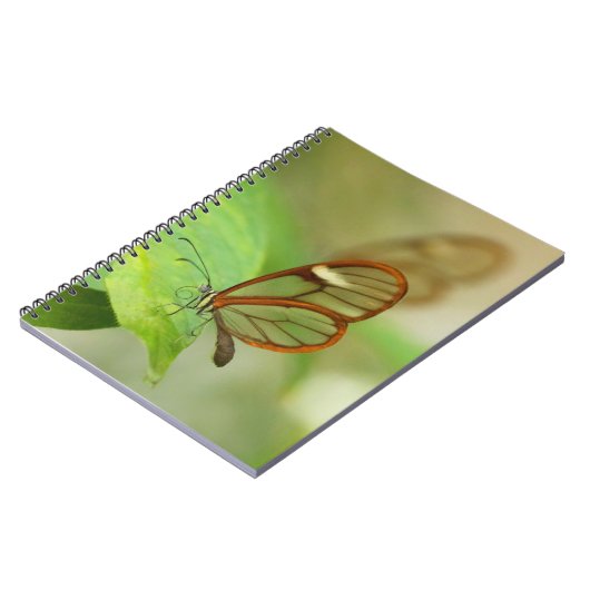 Zwei gläserne Schmetterlinge Notizblock (Linke Seite)