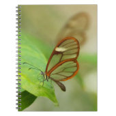 Zwei gläserne Schmetterlinge Notizblock (Vorderseite)