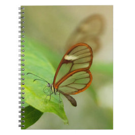 Zwei gläserne Schmetterlinge Notizblock