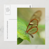 Zwei gläserne Schmetterlinge Postkarte (Vorne/Hinten)