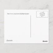 Zwei gläserne Schmetterlinge Postkarte (Rückseite)