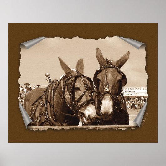 Zwei gleich poster (Vorne)