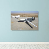 Zwei globale Falken parken auf einer Rampe Leinwanddruck (Insitu (Holzboden))