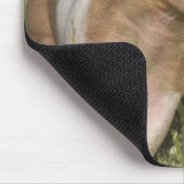 Zwei glückliche Ferkel Mousepad (Ecke)