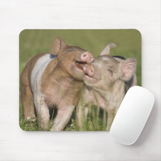 Zwei glückliche Ferkel Mousepad (Mit Mouse)