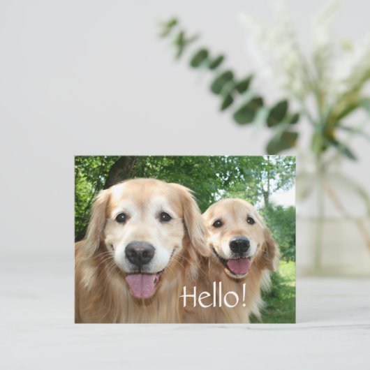 Zwei glückliche Golden Retriever Hunde im Freien Postkarte (Stehend Vorderseite)