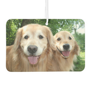 Zwei glückliche Golden Retrievers im Freien Autolufterfrischer