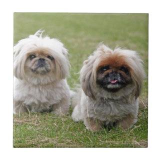 Zwei glückliche kleine Welpen Fliese