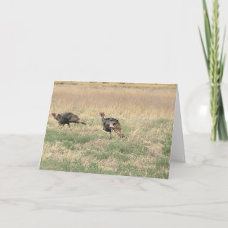 Zwei Gobblers Feiertagskarte