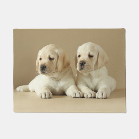 Zwei Golden Labrador Welpen Fußmatte (Vorderseite)