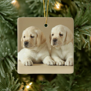 Zwei Golden Labrador Welpen Keramikornament