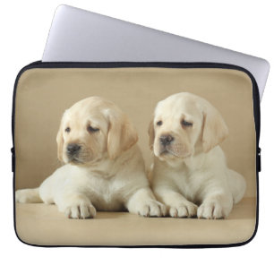 Zwei Golden Labrador Welpen Laptopschutzhülle