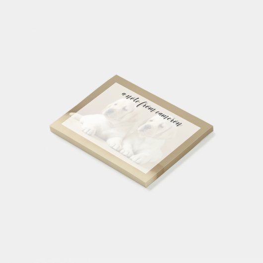 Zwei Golden Labrador Welpen Post-it Klebezettel (angewinkelt)