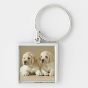 Zwei Golden Labrador Welpen Schlüsselanhänger