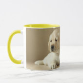 Zwei Golden Labrador Welpen Tasse (Links)