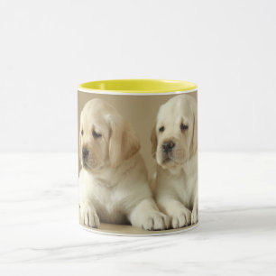 Zwei Golden Labrador Welpen Tasse