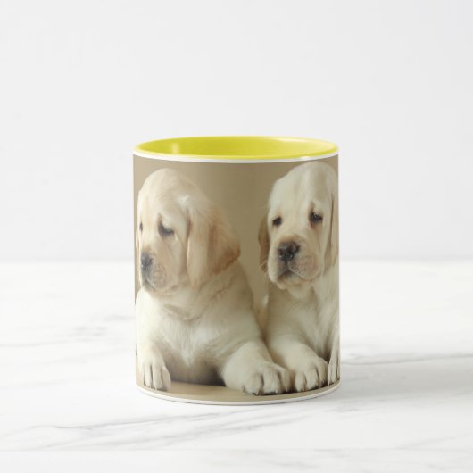 Zwei Golden Labrador Welpen Tasse (Zentrum)