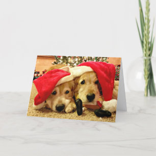 Zwei Golden Retriever Hunde in Weihnachtsmannmütze Feiertagskarte
