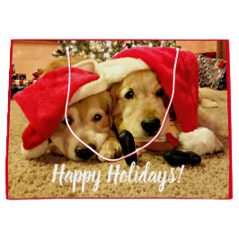 Zwei Golden Retriever Hunde in Weihnachtsmannmütze Große Geschenktüte