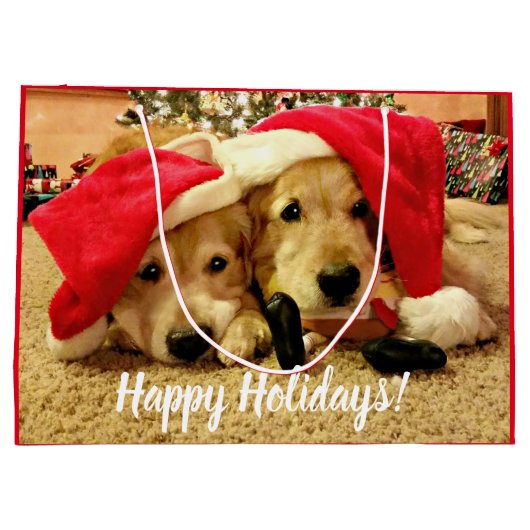 Zwei Golden Retriever Hunde in Weihnachtsmannmütze Große Geschenktüte (Rückseite)