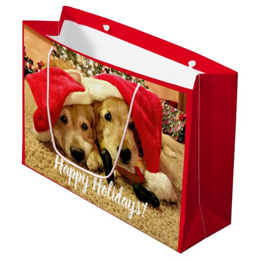 Zwei Golden Retriever Hunde in Weihnachtsmannmütze Große Geschenktüte (Vorderseite Schrägansicht)