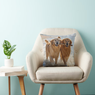 Zwei Golden Retriever tragen einen Stock Kissen
