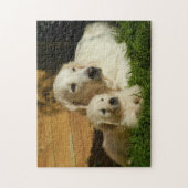 Zwei Golden Retrievers - Mama & Welpe - Liebe Puzzle (Vertikal)