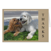 Zwei Goldendoodle Welpen Freunde! (Vorderseite (Horizontal))