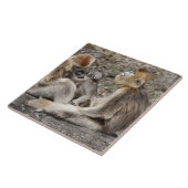 Zwei goldene Affen mit Neugeborenen Fliese (Seite)