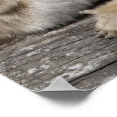 Zwei goldene Affen mit Neugeborenen Poster (Ecke)