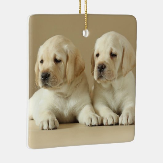 Zwei goldene Labrador-Welpen Keramikornament (Rechts)