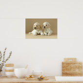 Zwei goldene Labrador-Welpen Poster (Küche)